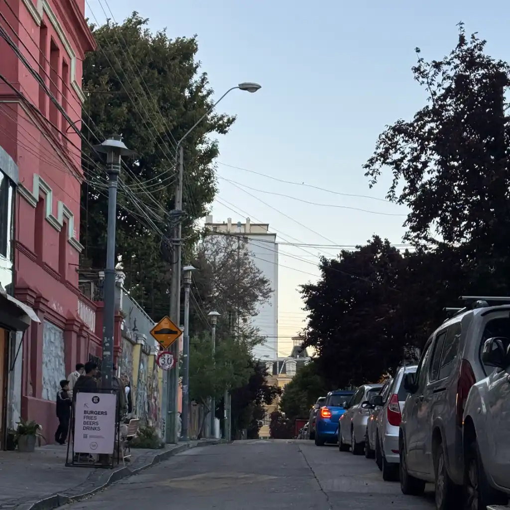 Lautaro_Rosas_Cerro_Alegre